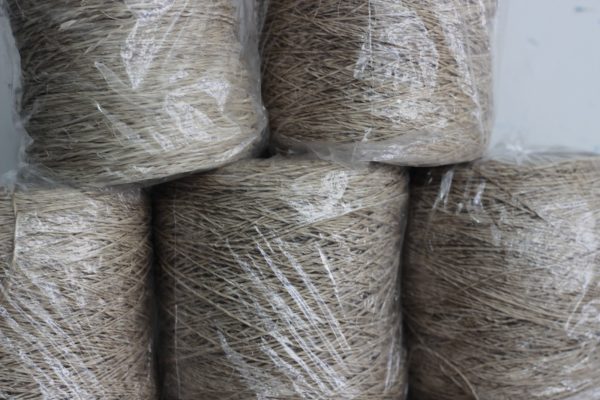 WhatsApp Image 2024-03-31 at 3.56.23 PM Hilo Fique